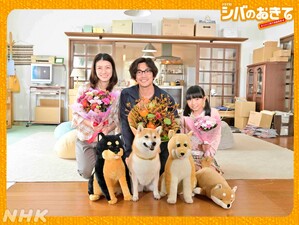 Shiba no Okite ~Warera Inu-Ika Editorial Department~