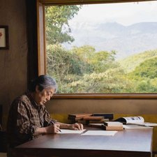 The zen diary