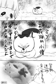 Inu to Neko docchi mo Katteru to Mainichi tanoshii