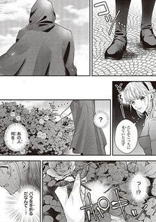 Royal Cinderella Mama - Tengai Kodoku no Botsuraku Reijou wa Reitetsu Koutei ni Dekiaisareru