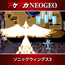 Aero Fighters 3
