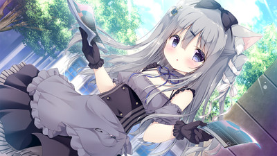 Amairo Chocolate
