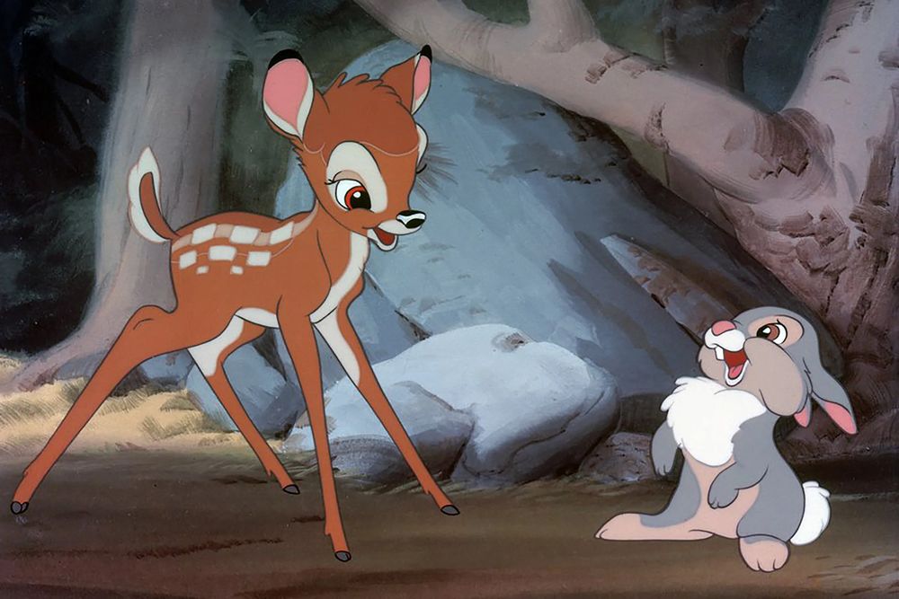bambi.jpg bambi.jpg