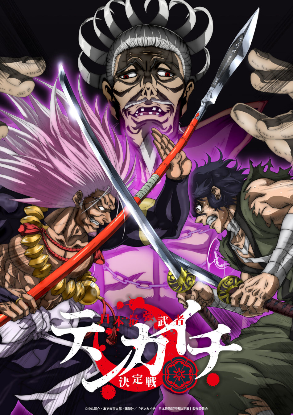 Tenkaichi anime visual