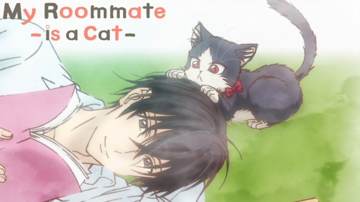 <b>My Roommate is a Cat</b>: la vostra impressione
