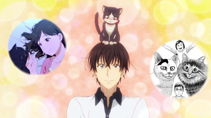 I manga/anime (s)consigliati dall'utenza di animeclick.live (16/08/2019)